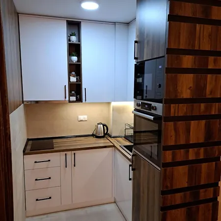 Apartment Lux Dunja I Jovana *